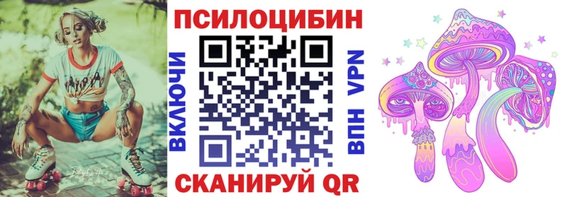 Галлюциногенные грибы Psilocybine cubensis купить наркотики цена Чердынь